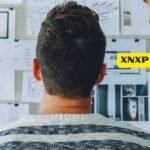 XNXP Personality Type Test 2024